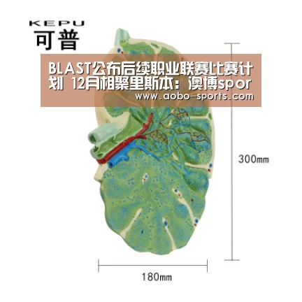 澳博sportsapp