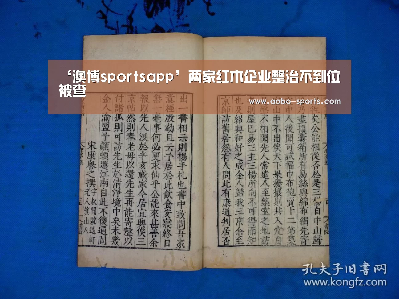 澳博sports官方入口