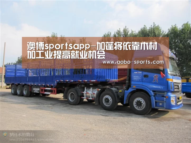 澳博sportsapp-加蓬将依靠木材加工业提高就业机会(图4) 澳博sports官网