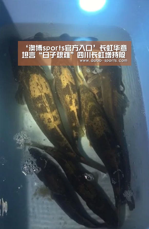 ‘澳博sports官方入口’长虹华意坦言“日子艰难”四川长虹增持股份至30%(图3) 澳博sportsAPP下载