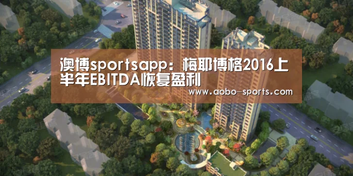 澳博sportsapp:梅耶博格2016上半年EBITDA恢复盈利(图1) 澳博sports官网