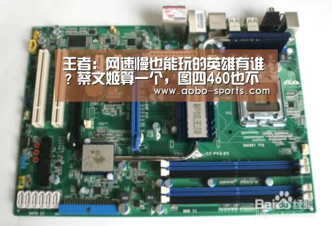 王者:网速慢也能玩的英雄有谁?蔡文姬算一个,图四460也不怕!“澳博sports官方入口”(图1) 澳博sportsapp